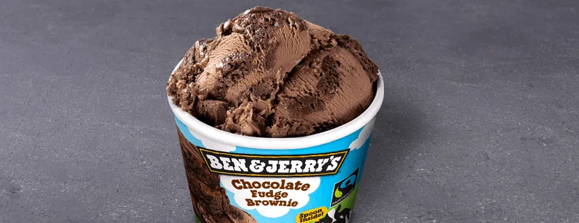 Choco Fudge Brownie